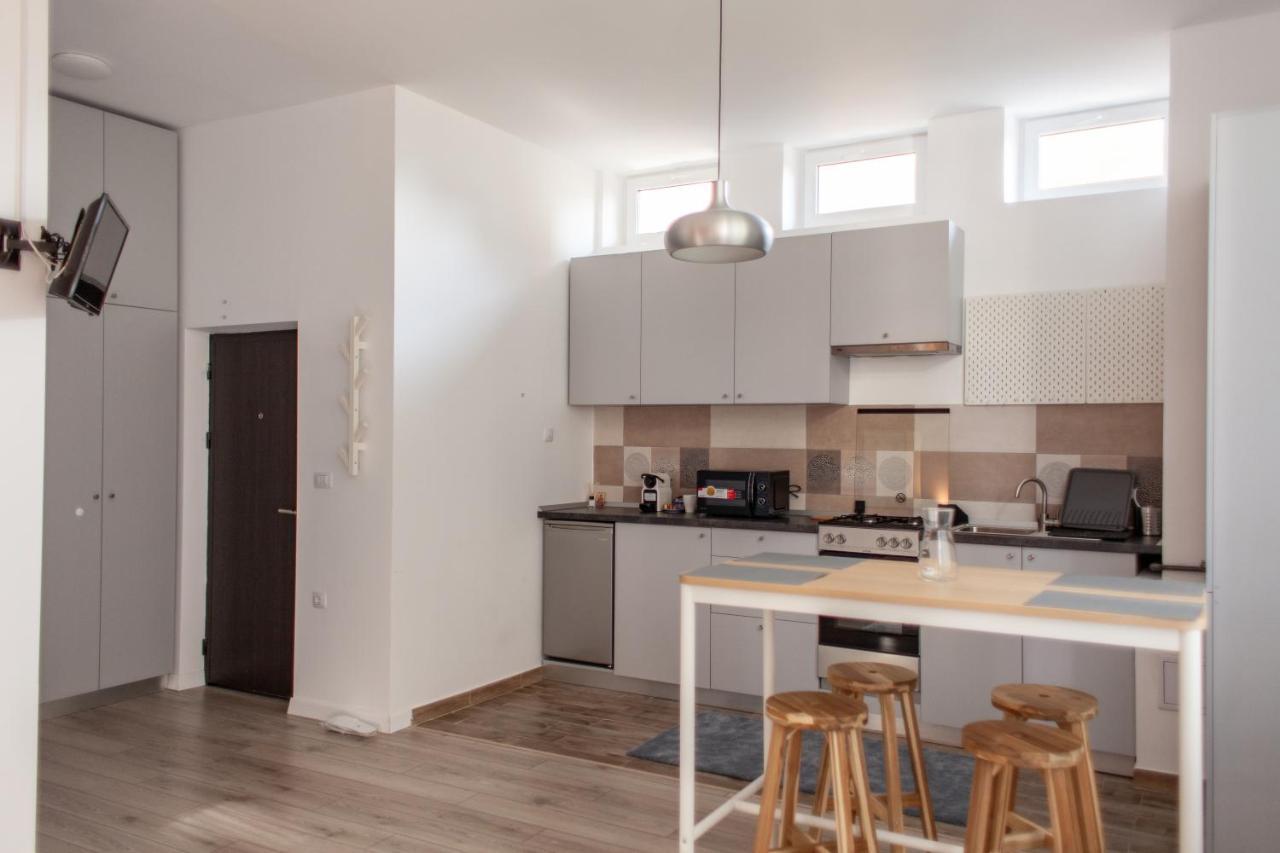 Modern Studio In The Heart Of Iasi Eksteriør billede